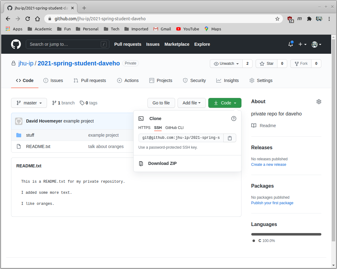 Github private repo page