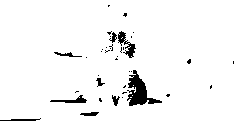 The binarized kitten image with threshold 127