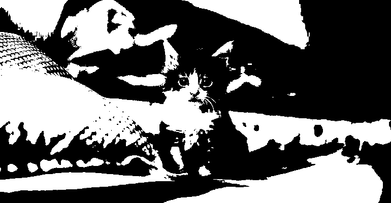 The binarized kitten image with threshold 200