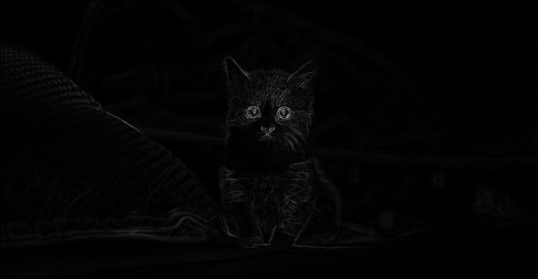 The kitten gradient image